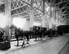 Means of transportation in history